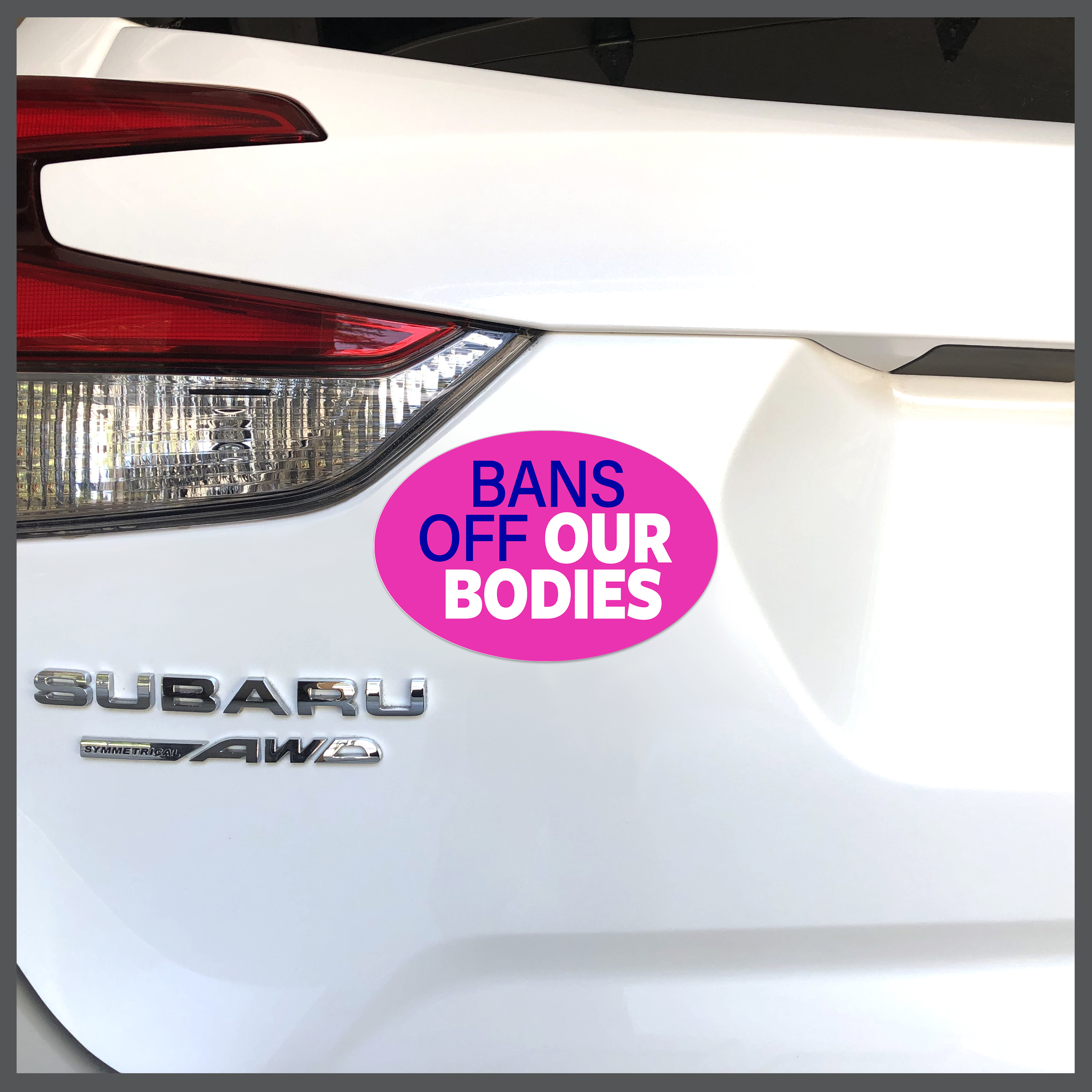 Causes - Bans Off Our Bodies Car Magnet