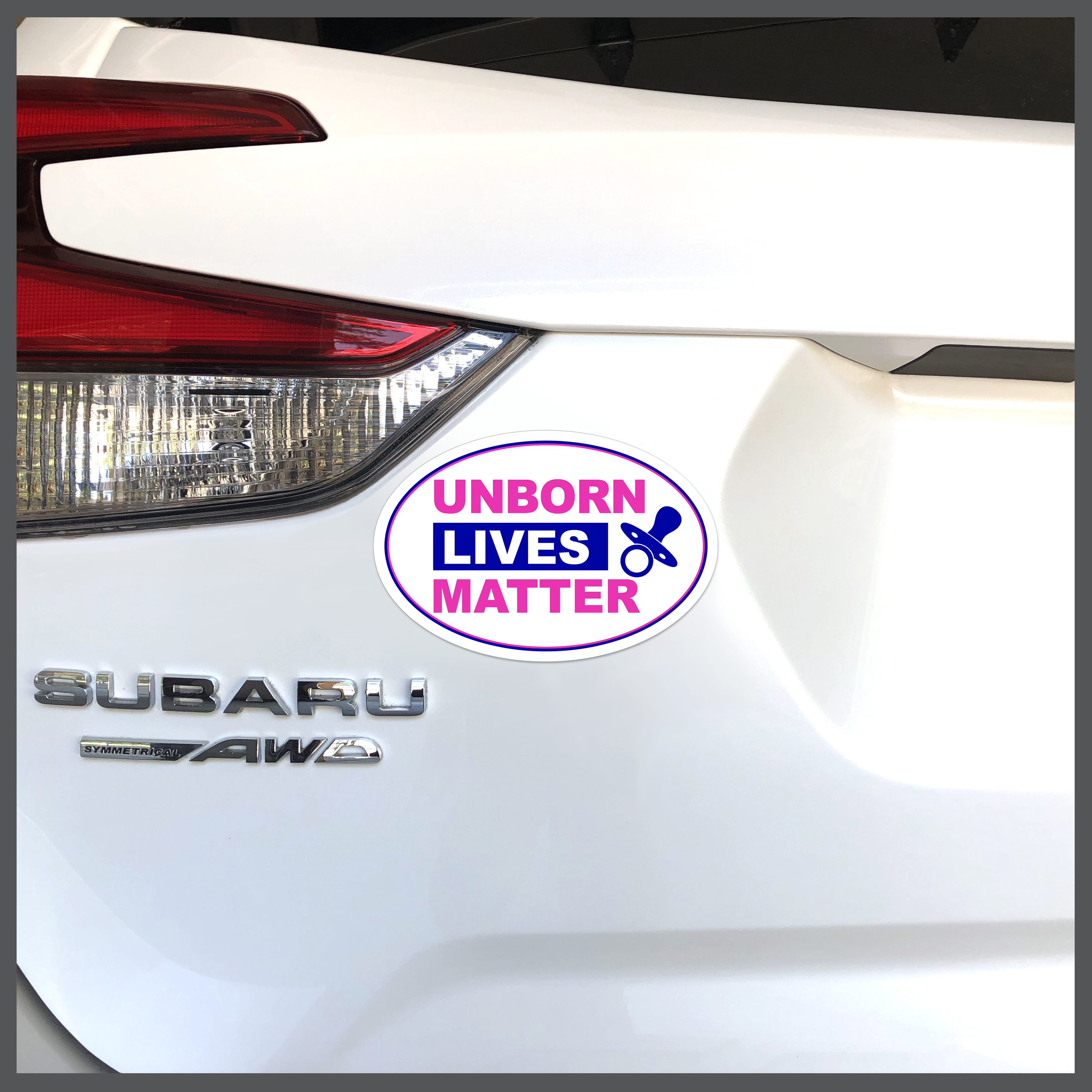 Causes - Unborn Lives Matter Car Magnet