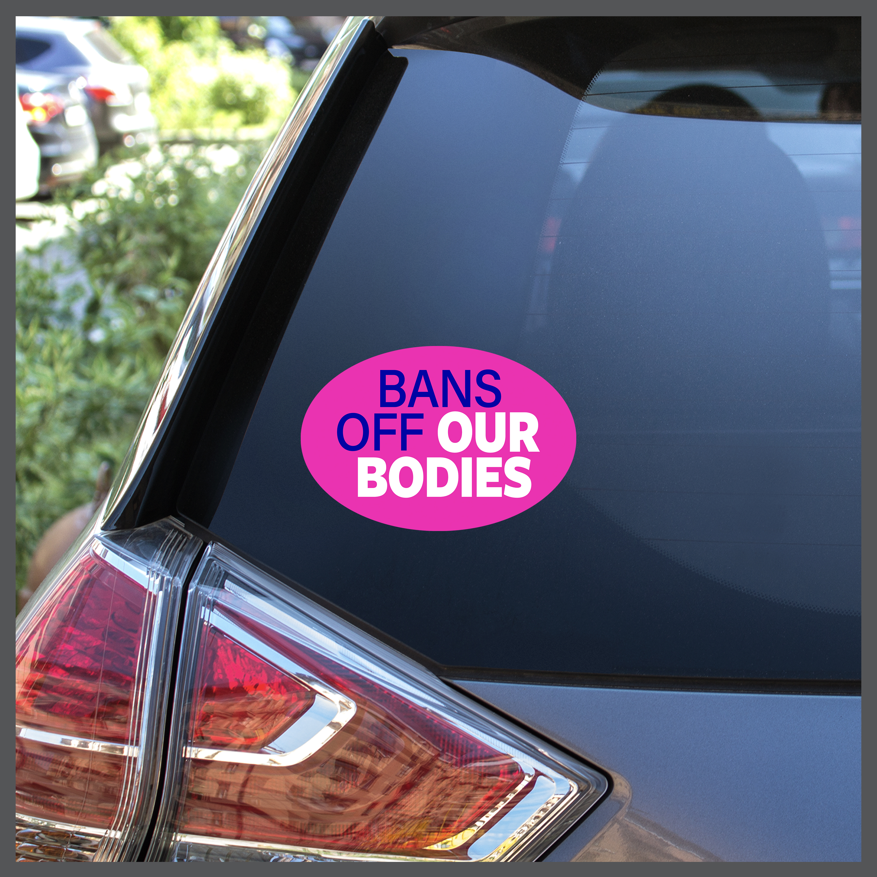 Causes - Bans Off Our Bodies Decal